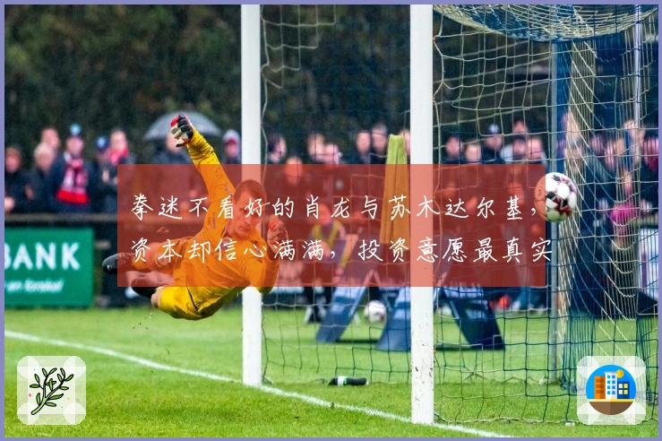 拳迷不看好的肖龙与苏木达尔基，资本却信心满满，投资意愿最真实